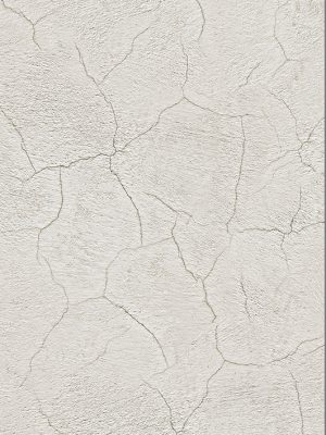 Plaster