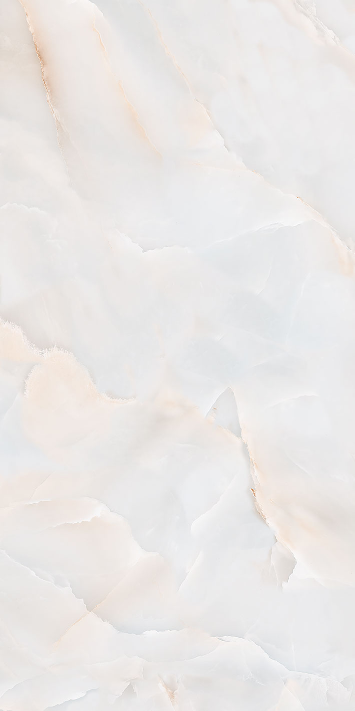 DZ62978_DM