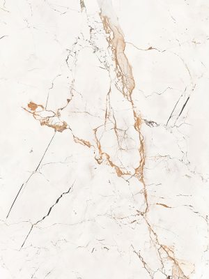 DZ59739_0